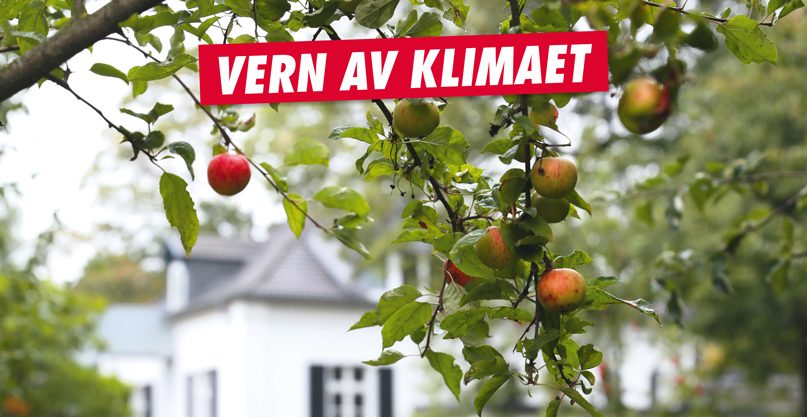 Vern av klimaet