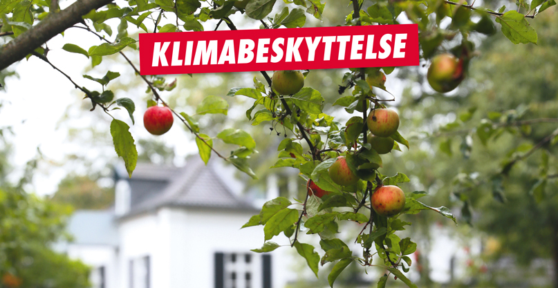 klimabeskyttelse