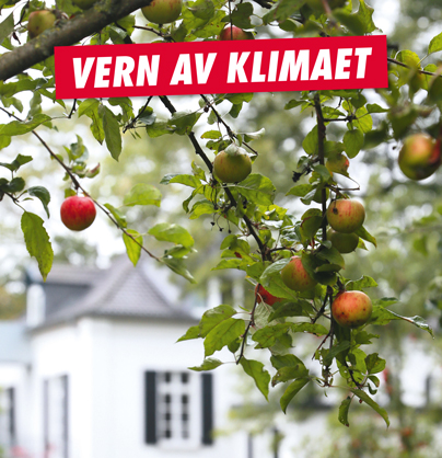 Vern av klimaet