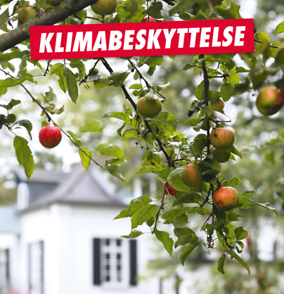 klimabeskyttelse