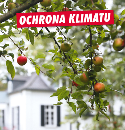Ochrona klimatu image