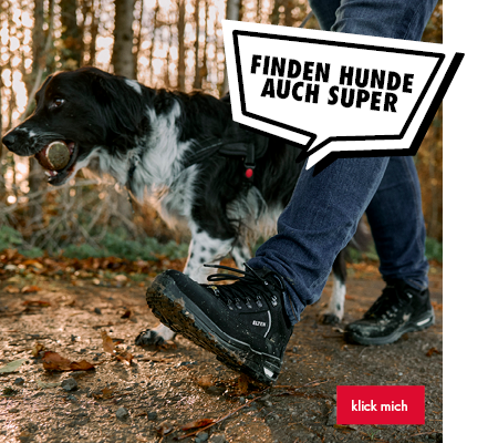 FINDEN HUNDE AUCH SUPER